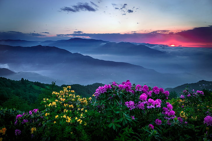 HD%20wallpaper:%20purple%20and%20yellow%20flowers,%20mountains,%20sunset,%20mist,%20clouds,%20%20sky%20|%20Wallpaper%20Flare