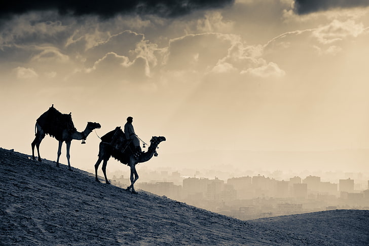 two camel under white clouds painting, people, silhouette, desert, HD wallpaper
