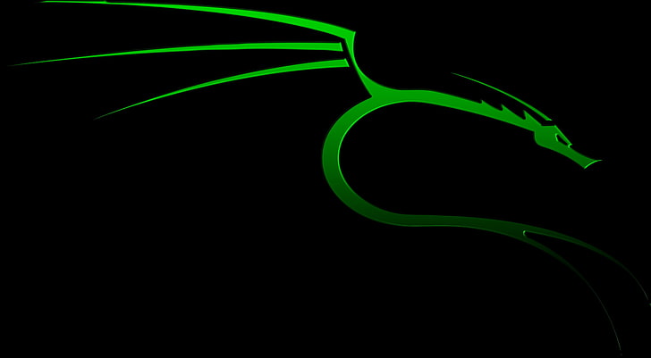 kali linux kali linux nethunter linux, black background, green color HD wallpaper
