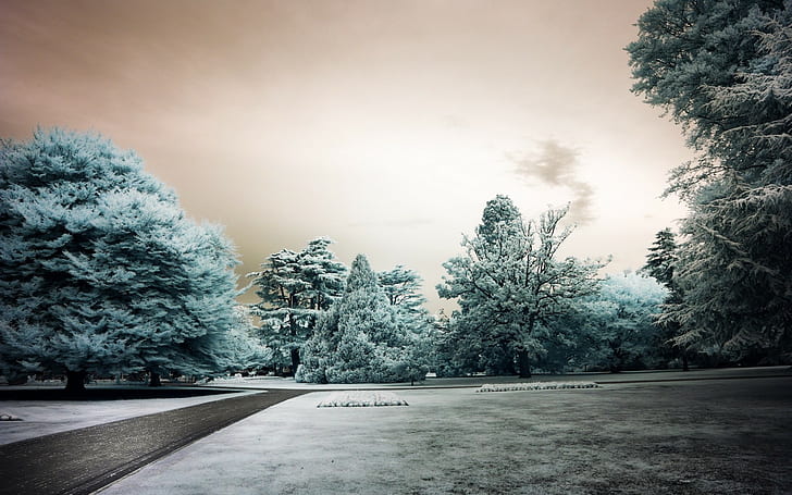 landscape, park, snow, winter, HD wallpaper