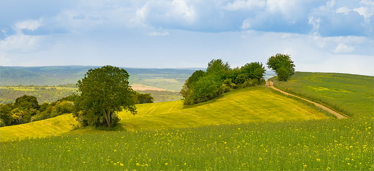 green grass Fields, Saargau, spring, landscape, Sony Alpha, nature, HD wallpaper