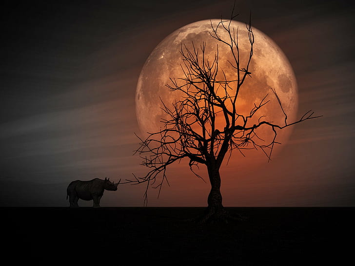 silhouette photo manipulation of Rhino near tree on a blood moon setting, HD wallpaper