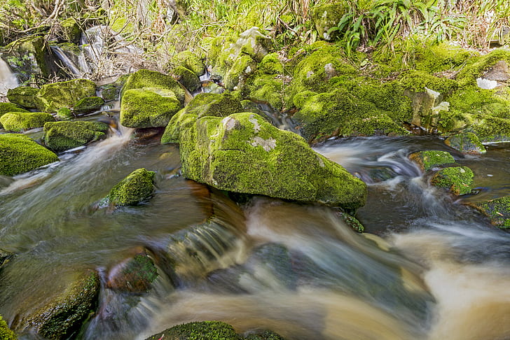green Molds in stone, Brown river, waterfall, rocks, vegetation, HD wallpaper