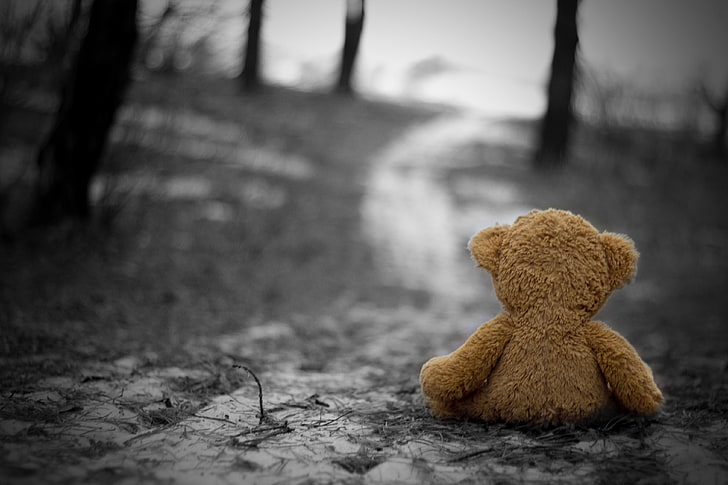 sad teddy bear hd wallpaper