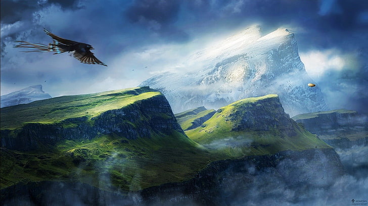 mountains, nature, flying, animal themes, animal wildlife, animals in the wild, HD wallpaper