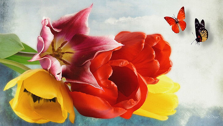 Colorful Spring Tulips, firefox persona, bright, butterflies, HD wallpaper