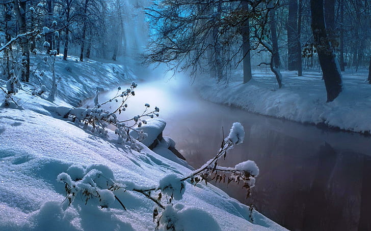 Winter In River, body of water in the forest during winter, picture