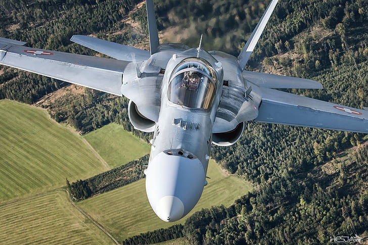 Field, Forest, Fighter, Pilot, The Swiss air force, F/A-18 Hornet, HD wallpaper