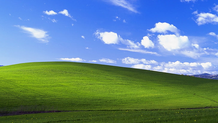 Microsoft Windows wallpaper, Windows XP, garden, landscape, nostalgia, HD wallpaper