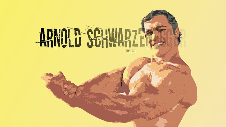 HD wallpaper: Actors, Arnold Schwarzenegger, Artwork, Bodybuilding, Muscle  | Wallpaper Flare