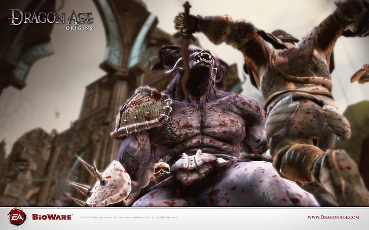 brown and black leather handbag screenshot, Dragon Age, Dragon Age: Origins, HD wallpaper