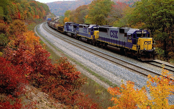 gray, purple, and yellow locomotive train, motion, nature, fall