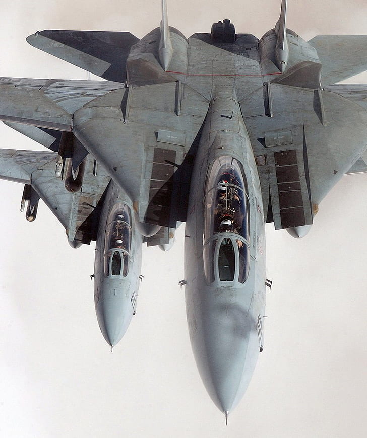 portrait display, Grumman F-14 Tomcat, jet fighter, Multirole fighter, HD wallpaper
