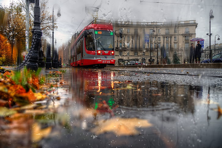 autumn, leaves, the city, rain, street, the building, Peter, HD wallpaper