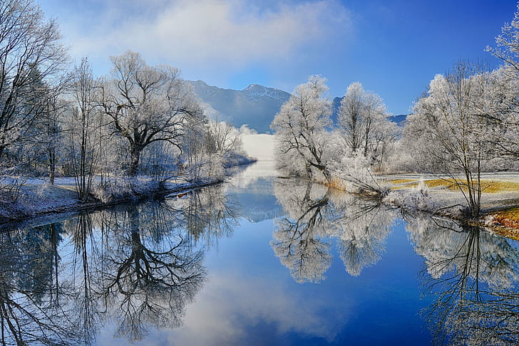 photo of body of water surrounded with trees, Happy New Year