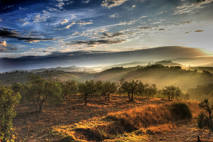 photo of trees and mountains during sunset, nebbia, di, chianti