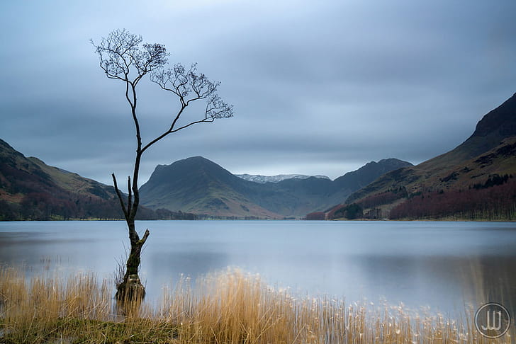 photo of lake in the middle of mountain, Buttermere, Tree, Lake District, HD wallpaper