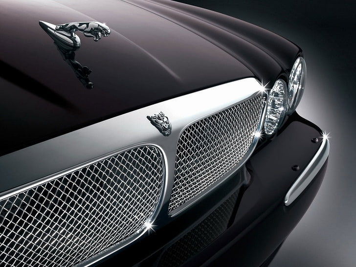 black Jaguar X-type, logo, grille, car, shiny, luxury, land Vehicle