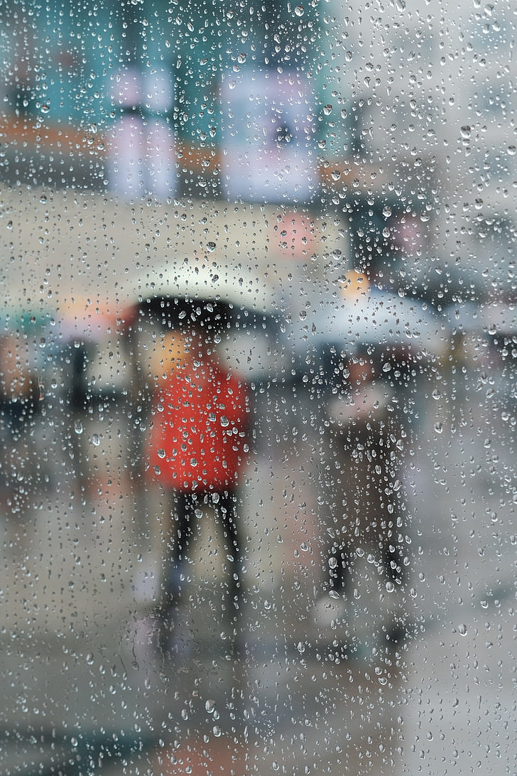 glass, drops, moisture, surface, rain, window, wet, glass - material, HD wallpaper