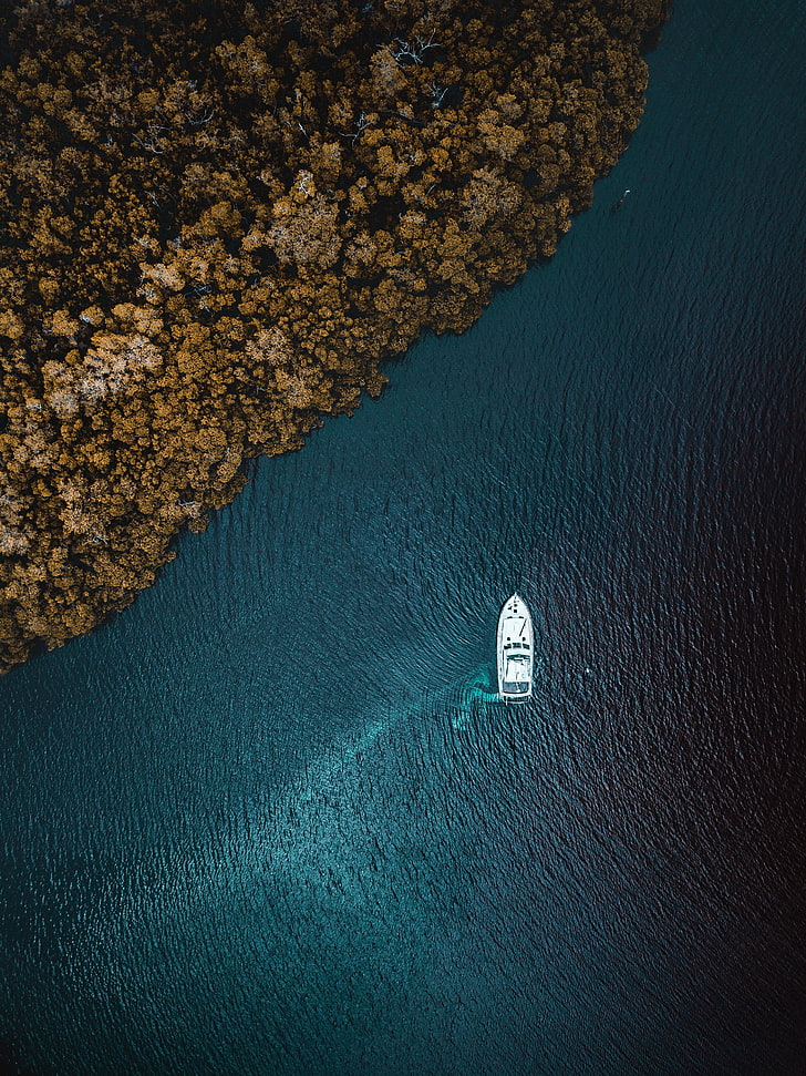 white boat, yacht, sea, trees, shore, view from above, water