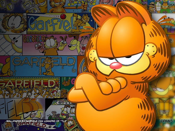 Page 3 Garfield 1080p 2k 4k 5k Hd Wallpapers Free Download Wallpaper Flare
