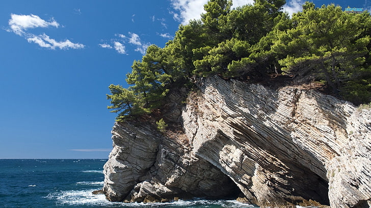 rock cliff with trees near body of water, landscape, sky, sea