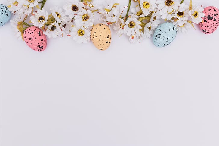 flowers, chamomile, spring, Easter, pink, eggs, decoration, HD wallpaper