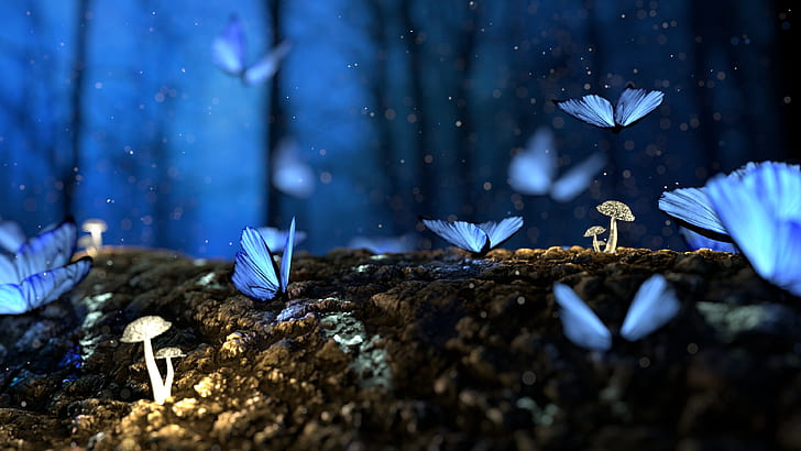 butterflies, mushrooms, forest, fantasy, blue, HD wallpaper
