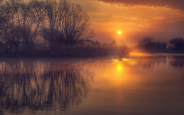 reflection, calm, lake, nature, landscape, water, swan, mist