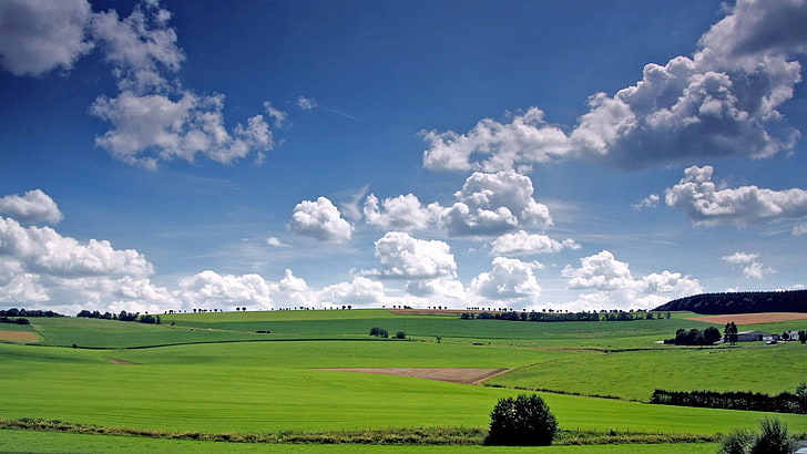 nature, field, grass, grassland, landscape, sky, meadow, rural, HD wallpaper