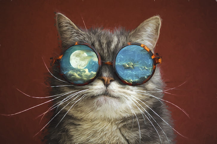 cat 4k wallpapers for mac desktop, animal themes, domestic cat, HD wallpaper