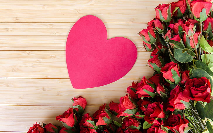 rose, flowers, heart, love image, 4k