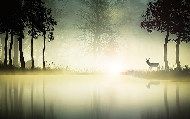 silhouette of deer, nature, environment, landscape, river, animals