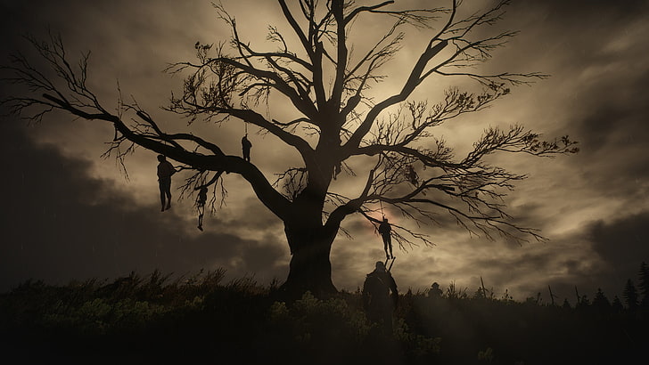 bare tree, night, The Witcher, gallows, The Witcher 3:Wild Hunt, HD wallpaper