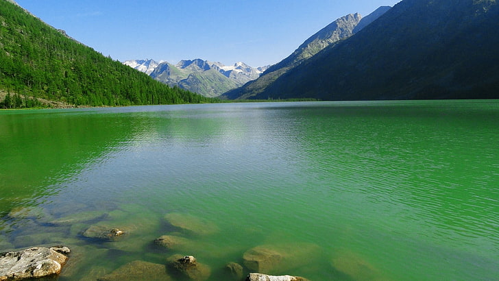 green leafed trees, nature, landscape, lake, Canada, mountains, HD wallpaper