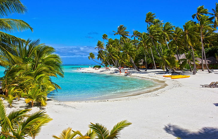 Pearl Beach Tuamotus Atoll French Polynesia, island, pacific, HD wallpaper
