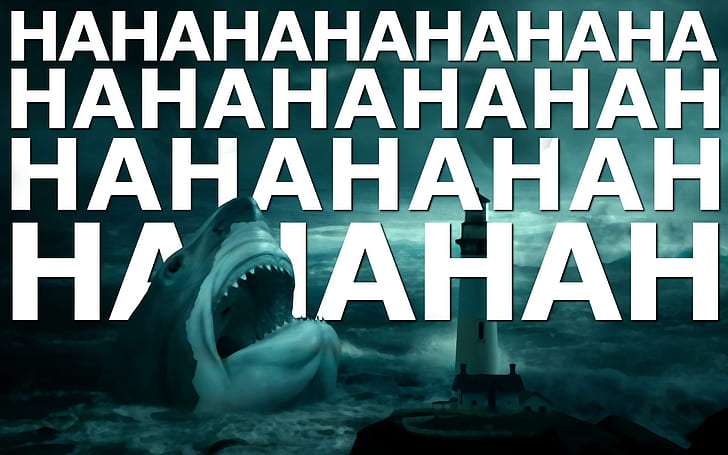 Laughing shark, hahahahahhahhaha display, funny, 2560x1600, HD wallpaper