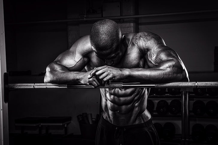 men, fitness model, muscular build, sport, strength, sports training