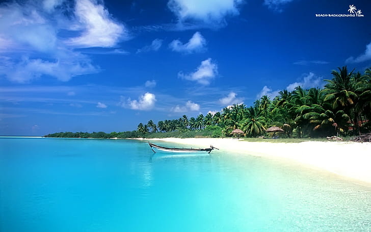 Boat Beach Tropical Palm Trees HD, nature