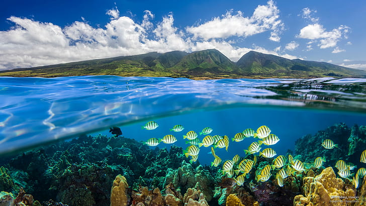 West Maui, Hawaii, Islands, HD wallpaper