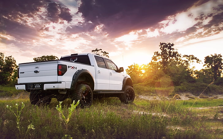 white Ford crew cab pickup truck, the sky, grass, the sun, trees, HD wallpaper