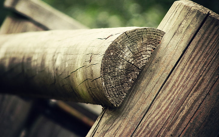 wood, fence, nature, closeup, wood - material, focus on foreground