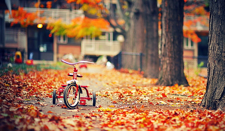 HD wallpaper: autumn, city photos, cityscapes, landscapes, love images,  place | Wallpaper Flare