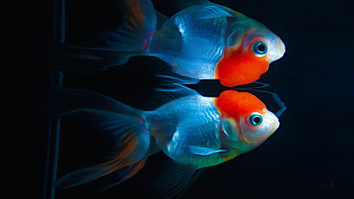 two gray-and-red fish, artwork, kinguio, animals, digital art, HD wallpaper