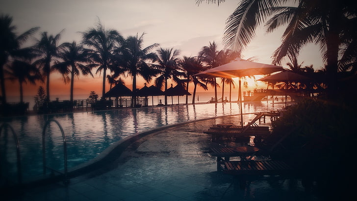gray patio umbrella, nature, swimming pool, sunset, palm trees, HD wallpaper