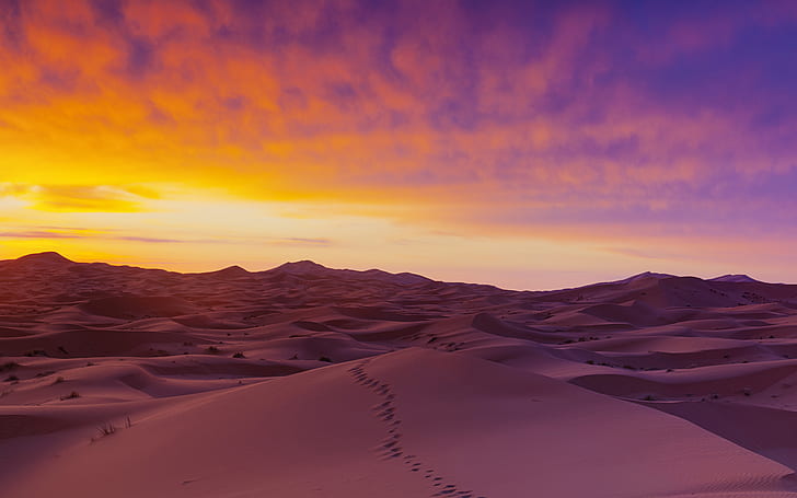 Sahara Desert Sand Dunes HD, nature, landscape, HD wallpaper