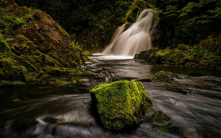 Waterfall Forest River Timelapse Moss Rock Stone HD, big stone with green moss near to false