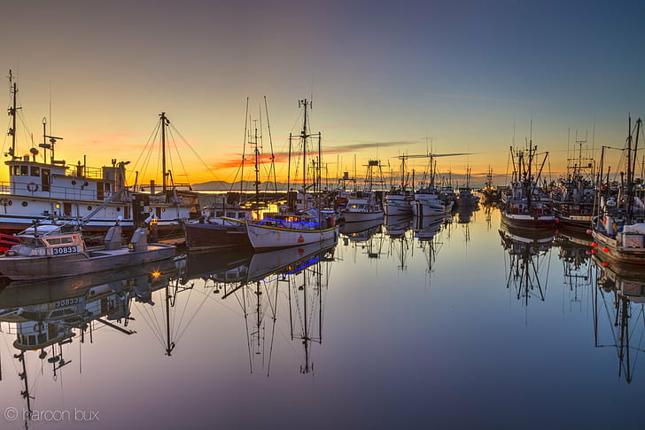 white and brown motor boats docked during sunrise, Pink and Blue