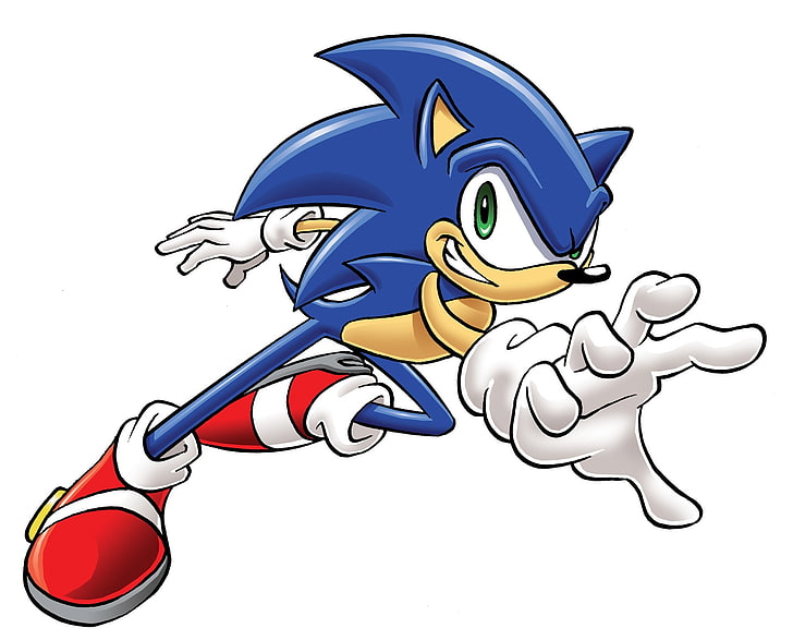 Sonic, Sonic the Hedgehog, fun, motion, event, activity, celebration, HD wallpaper