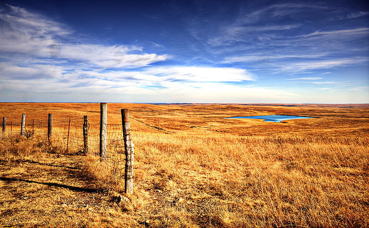 Flint Hill Special, barb wire fence, United States, Kansas, Travel, HD wallpaper